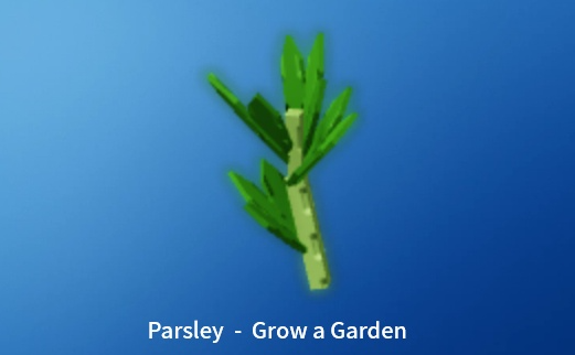 parsley grow a garden